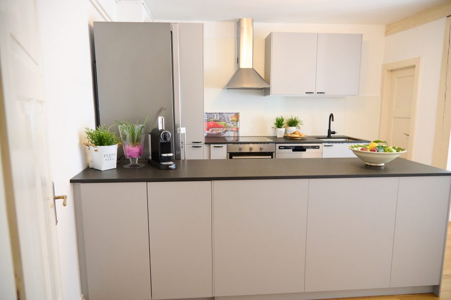 BodenseeApartments_Zentrales Apartment Pfänderblick_Küche06